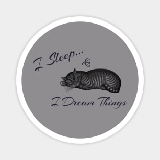 I Sleep and I Dream Things Magnet